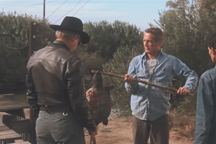 Cool Hand Luke