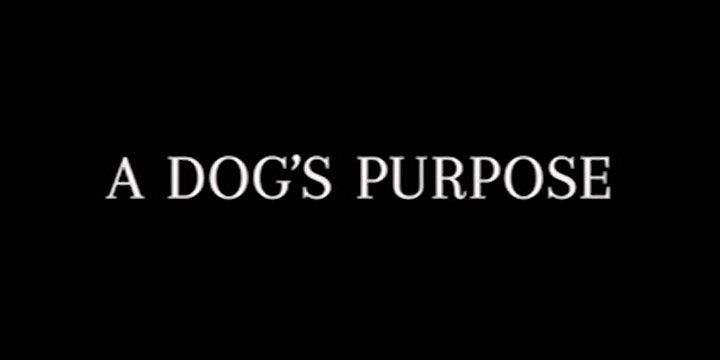 A Dog's Purpose