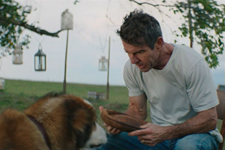 A Dog's Purpose