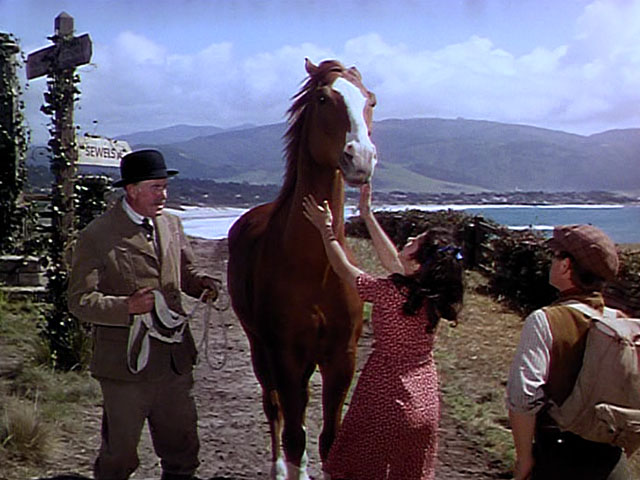 National Velvet