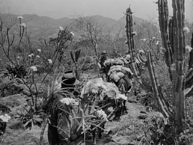 Treasure of the Sierra Madre