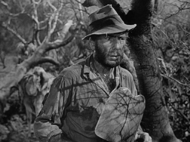 Treasure of the Sierra Madre